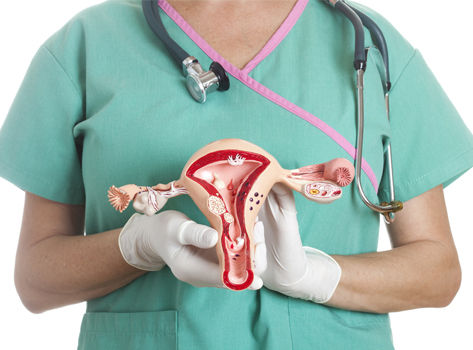 Health care provider hold a uterus and ovaries model.
